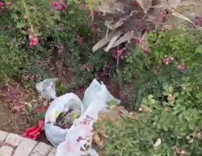 بابلسر، محوریترین منطقه گردشگری مازندران بدون زیرساخت رفاهی