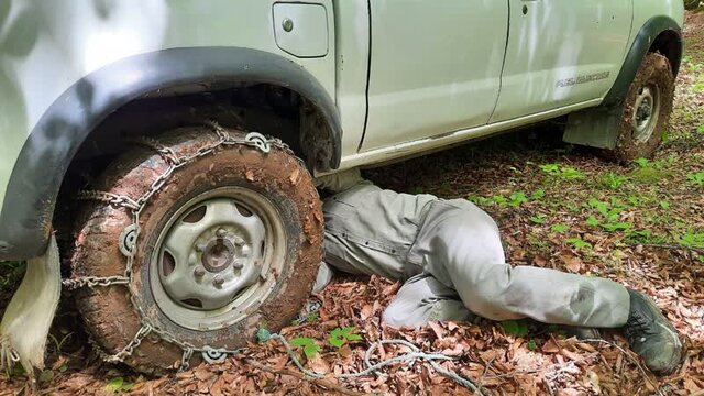 یک قرقاول فاصله بین مرگ و زندگی یک محیطبان