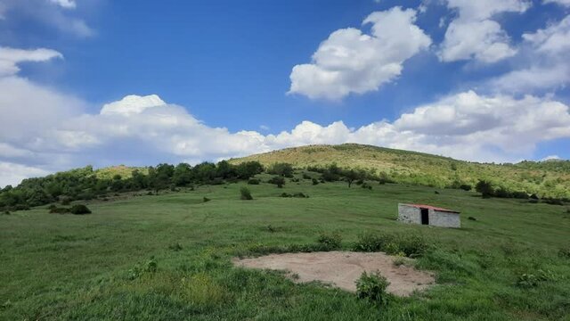 یک قرقاول فاصله بین مرگ و زندگی یک محیطبان