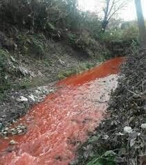 "پسماند" فاجعه زیست محیطی در مازندران