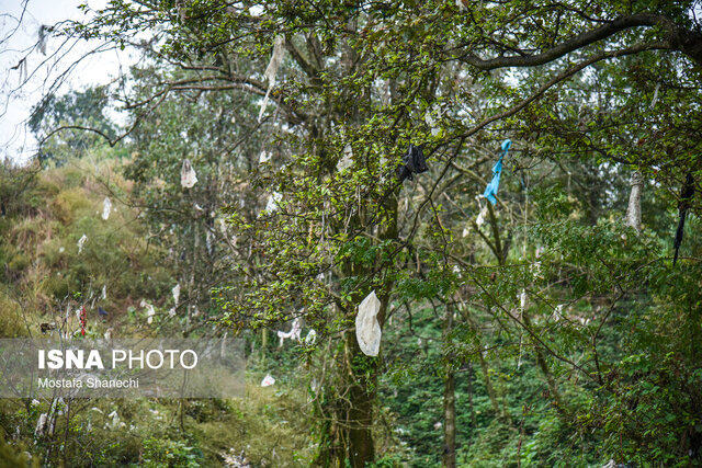 "پسماند" فاجعه زیست محیطی در مازندران