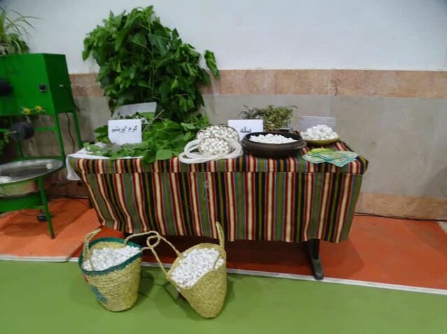 جشنوارهای به لطافت ابریشم