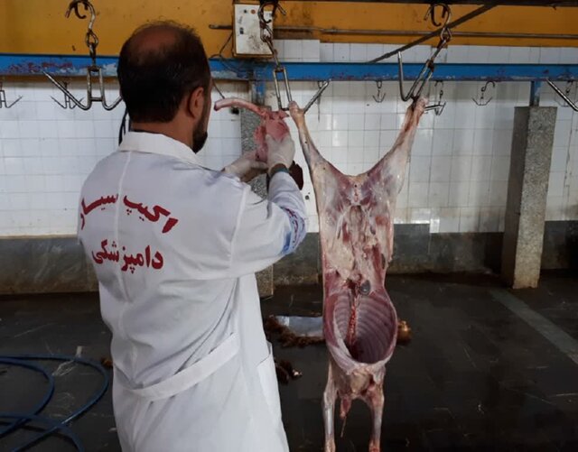 تشکیل ۱۰۱ اکیپ ثابت و سیار در طرح تشدید نظارت بهداشتی عید قربان در مازندران