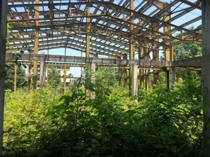 یک باغ و دو هوا