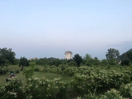 یک باغ و دو هوا