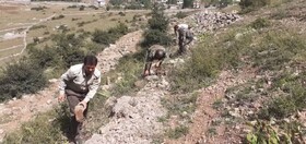 رفع تصرف ۵ هزار متر از زمین‌های ملی در هریجان چالوس