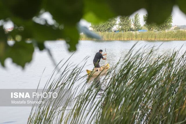 مراسم قرقشکنی ماهی در آببندانهای روستای رمنت بابل+تصویر