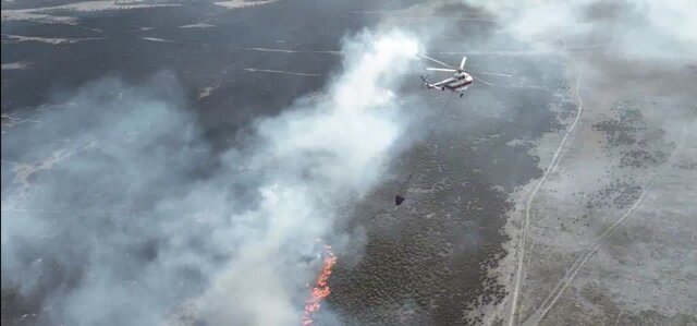 مراحل اطفای حریق در منطقه میانکاله+تصویر