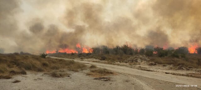 مراحل اطفای حریق در منطقه میانکاله+تصویر