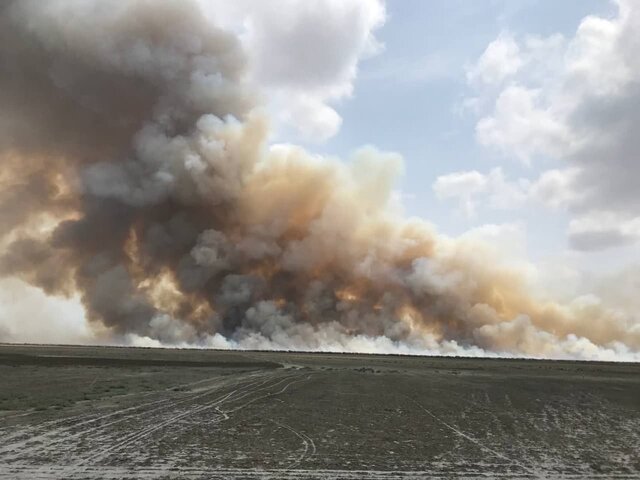 مراحل اطفای حریق در منطقه میانکاله+تصویر