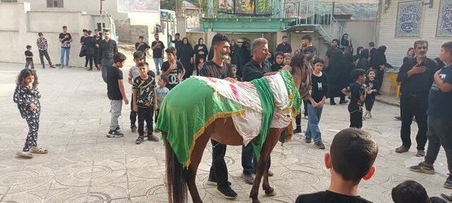 آیین ذوالجناح خوانی و تجلیل از پیرغلامان