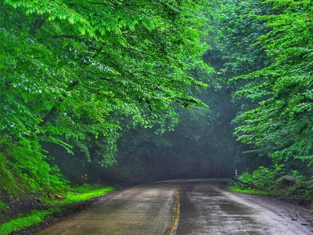 یک مسیر گردشگری دلربا در غرب مازندران