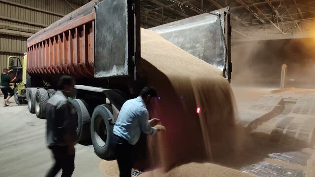 ترخیص ۶۰۰۰ تن گندم از انبارهای بندر امیرآباد