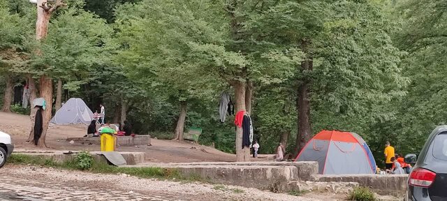 زنگ خطر خروج میراث جهانی "باغ عباسآباد" بهشهر به صدا در آمد