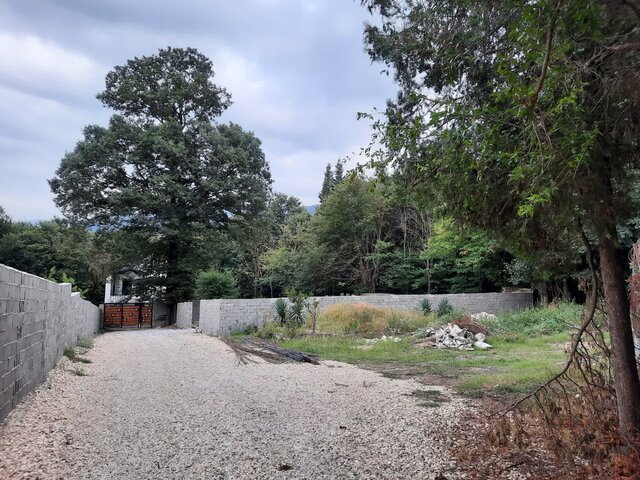 زنگ خطر خروج میراث جهانی "باغ عباسآباد" بهشهر به صدا در آمد