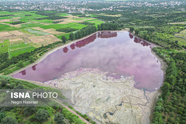 آببندان گتاب بابل در مازندران صورتی شد!