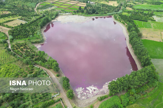 آببندان گتاب بابل در مازندران صورتی شد!