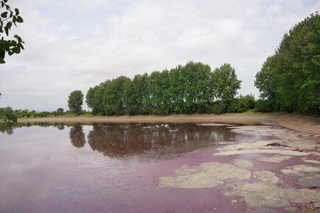 آببندان گتاب بابل در مازندران صورتی شد!
