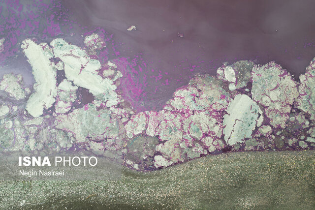 آببندان گتاب بابل در مازندران صورتی شد!