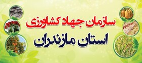 جذب اعتبار ۹ میلیارد تومانی برای تجهیز و نوسازی مراکز جهادکشاورزی مازندران