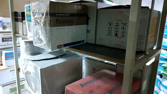 برخورد قانونی دامپزشکی مازندران با متخلف دارویی دراستان