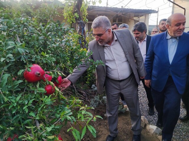 برنجکار شمالی نباید متضرر شود