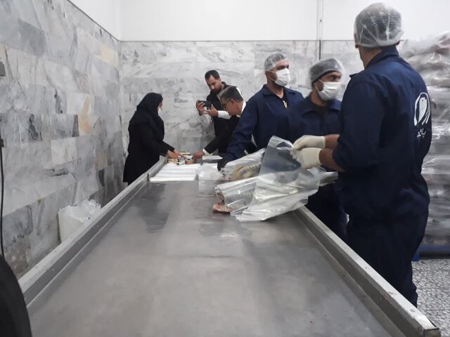 شروع صادرات ماهیان خاویاری از مازندران