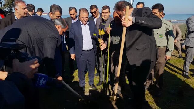 بهرهمندی از ظرفیت دانش آموزان برای کاشت یک میلیارد درخت در مازندران