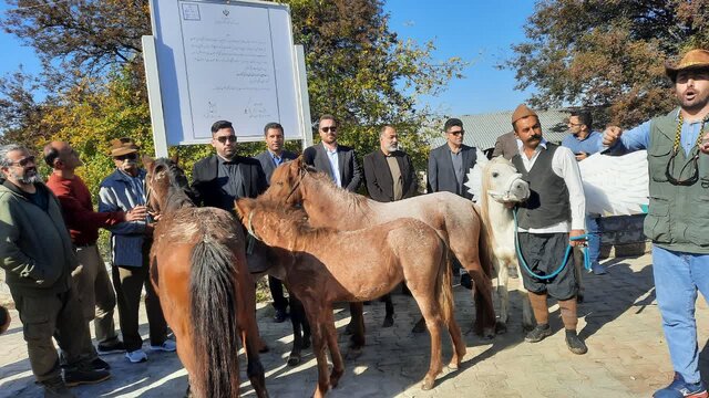 اسبچه خزری از پستو تا ملی شدن