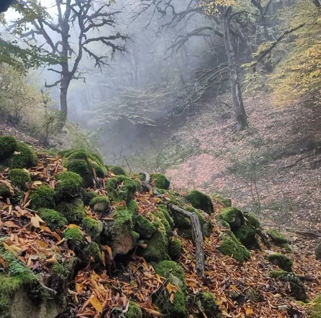 گورستان تاریخی و قلعه ساسانی پیشینه تاریخی ۱۳۰۰ ساله "سنگنو" مازندران است