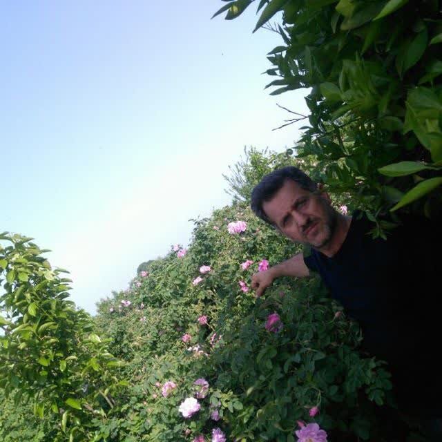 بزرگترین شرکت فرآوری گیاهان دارویی در بابل احداث می شود