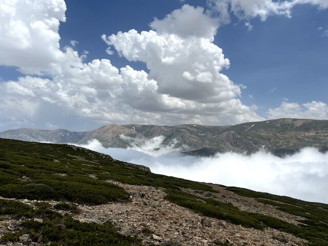 عکس از معصومه یوسفی اتویی دراسله، بوم نقاشی خداوند