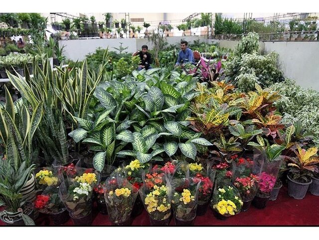 بازار  گل و گیاه در محمودآباد سکه شد