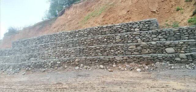 "کدهایی" که تیشه به ریشه جنگل میزند