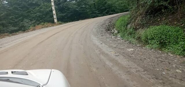 "کدهایی" که تیشه به ریشه جنگل میزند