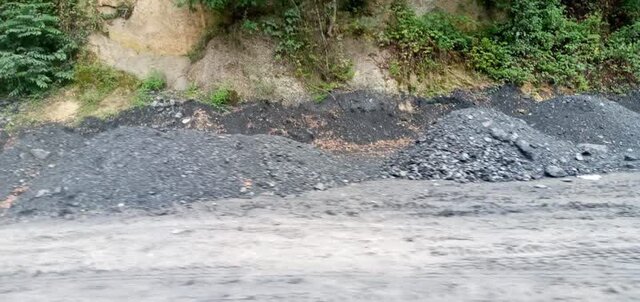 "کدهایی" که تیشه به ریشه جنگل میزند