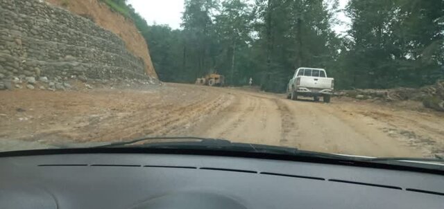 "کدهایی" که تیشه به ریشه جنگل میزند "کدهایی" که تیشه به ریشه جنگل میزند