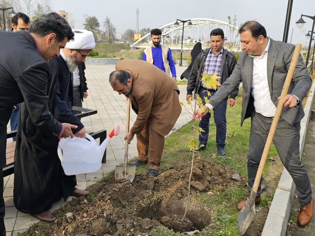 آملیها با کاشت نهال به استقبال برنامههای چهل ودومین سالگرد حماسه ششم بهمن رفتند