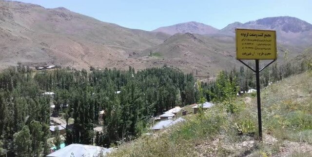 گیاهان دارویی، ثروت مغفول مانده در مازندران