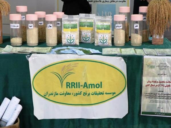 صادرات سالانه ۷ میلیون تن محصولات کشاورزی به خارج کشور