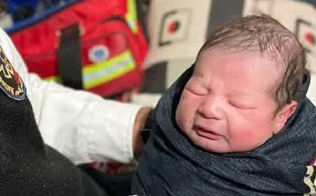 تولد نوزاد عجول در روز برفی بابل