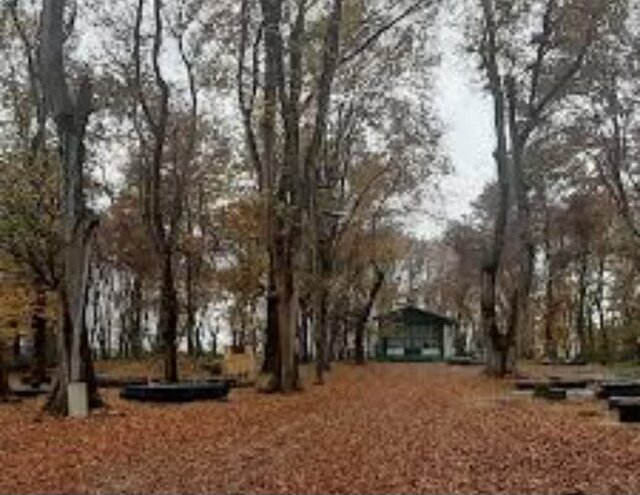 گنجینههای تاریخی یک روستا در مازندران