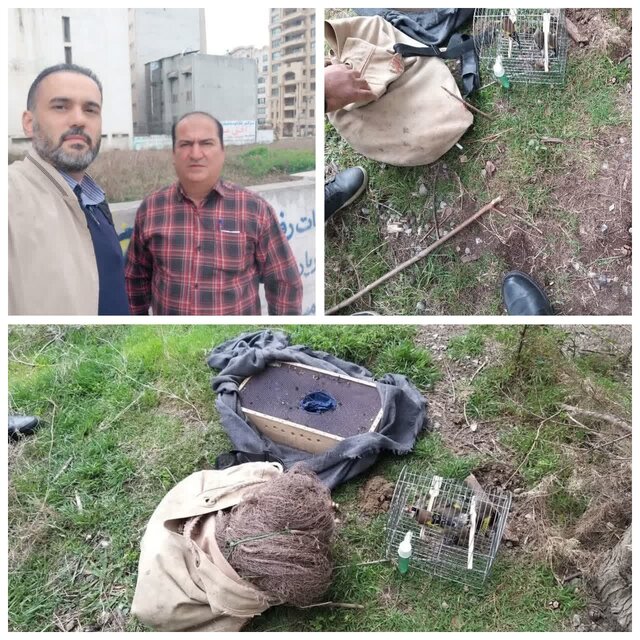 دستگیری ۳۰ متخلف شکار و صید در مازندران