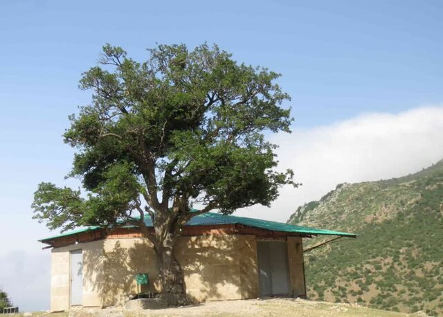 سوادکوه مهیای استقبال از مسافران نوروزی است