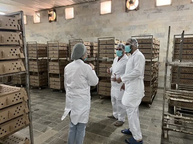 معدومسازی ۱۶۰ هزار کیلو از فرآوردههای خام دامی در مازندران