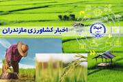 کیفیت‌بخشی به ترویج؛ کلید تقویت امنیت غذایی