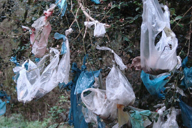 برای حذف کیسههای پلاستیکی در فروشگاههای زنجیرهای اقدام میکنیم