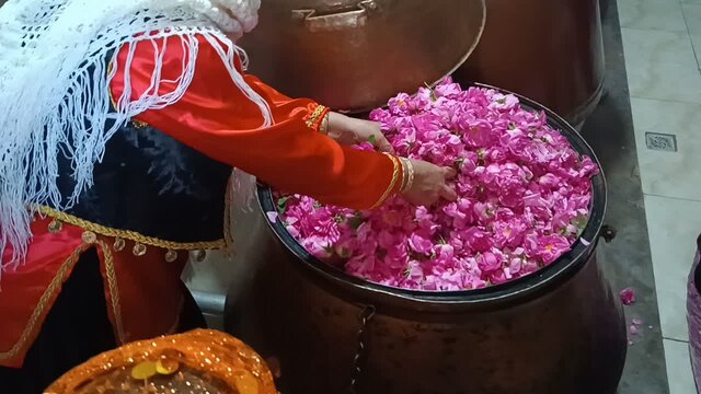 ثبت ملی جشنواره گلاب گیری «شاهناجر»