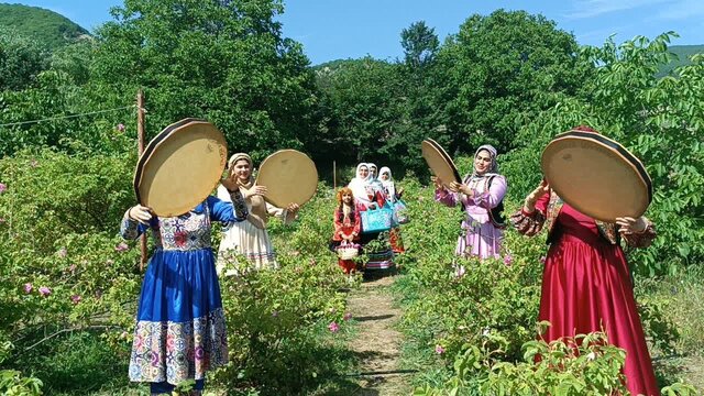 ثبت ملی جشنواره گلاب گیری «شاهناجر»
