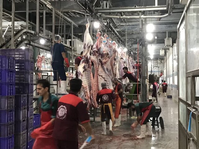کشتارگاه صنعتی دام ایلام همچنان در کش و قوس واگذاری کشتارگاه صنعتی دام ایلام همچنان در کش و قوس واگذاری